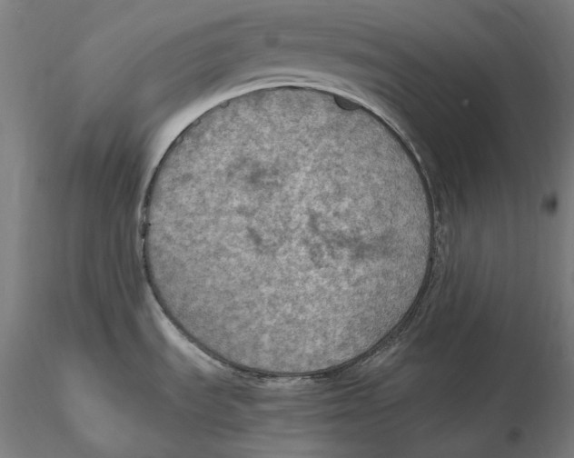 X0000115411535200912011328