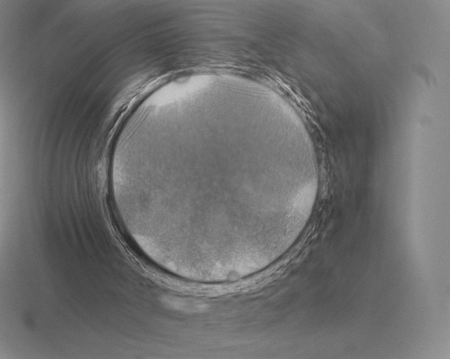 X0000115410002200912151551