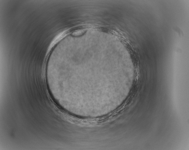 X0000115410004200912151551