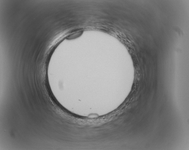 X0000115410005200912151551