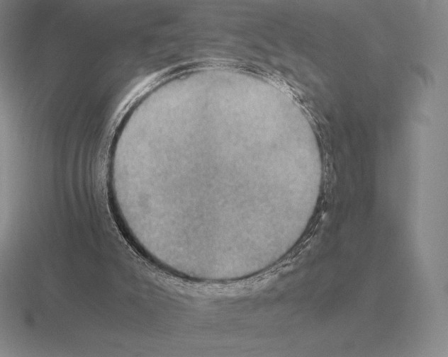 X0000115410007200912151551