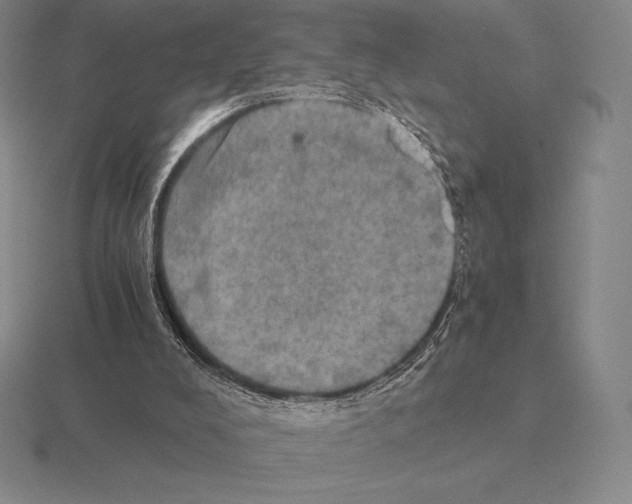 X0000115410008200912151551