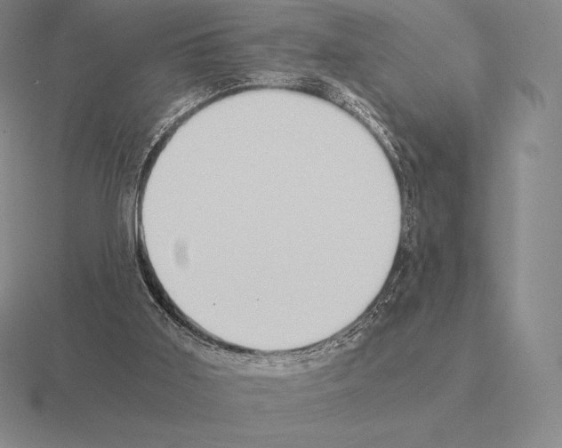 X0000115410011200912151551