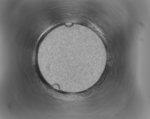 X0000115410012200912151551