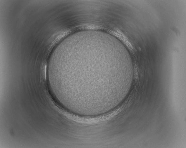 X0000115410014200912151551