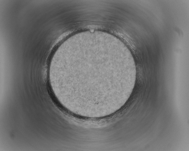 X0000115410016200912151551