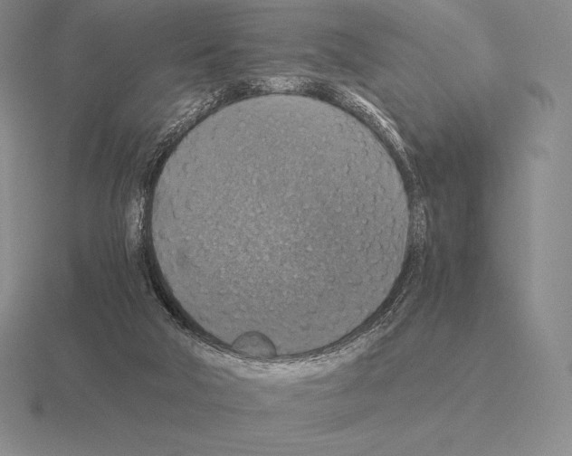 X0000115410018200912151551