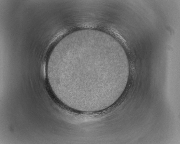 X0000115410020200912151551