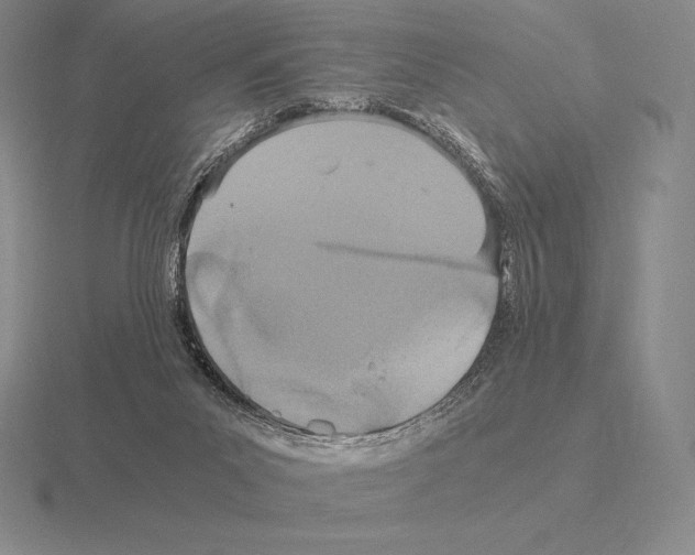 X0000115410023200912151551