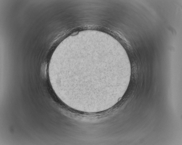 X0000115410024200912151551