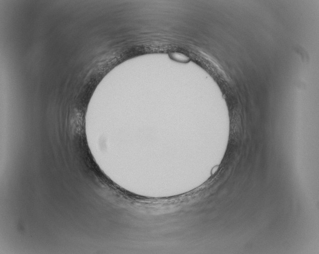 X0000115410025200912151551