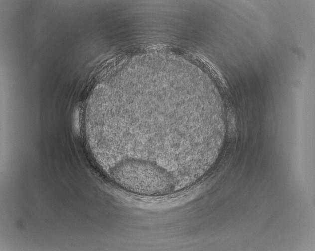 X0000115410026200912151551