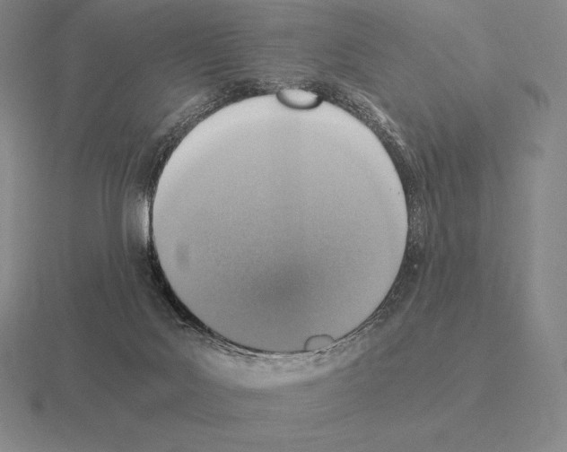 X0000115410027200912151551