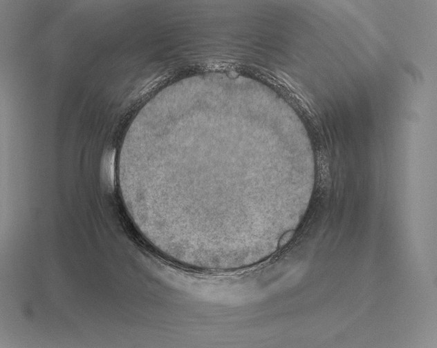 X0000115410028200912151551