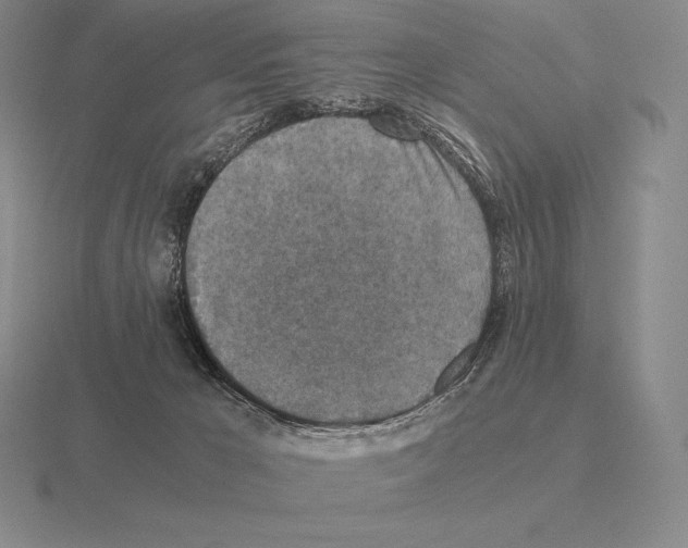 X0000115410029200912151551