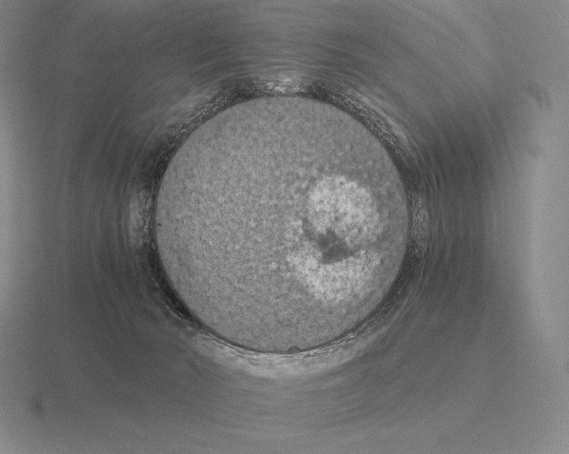 X0000115410030200912151551