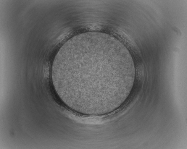 X0000115410032200912151551