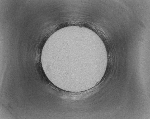 X0000115410033200912151551