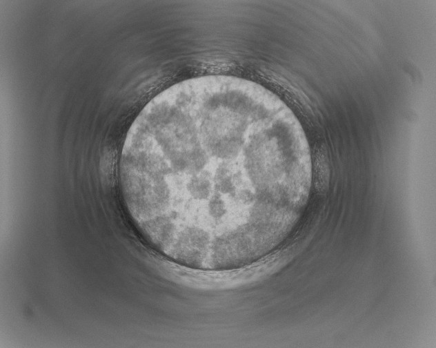 X0000115410034200912151551