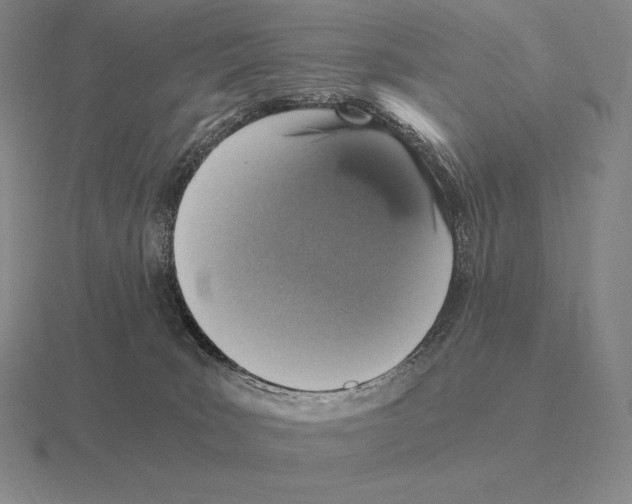 X0000115410035200912151551