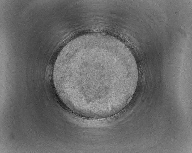 X0000115410036200912151551