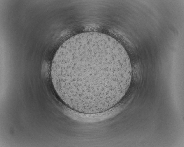 X0000115410038200912151551