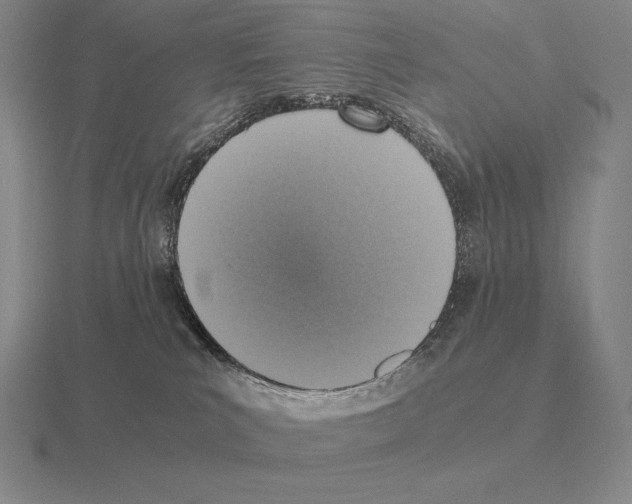 X0000115410039200912151551