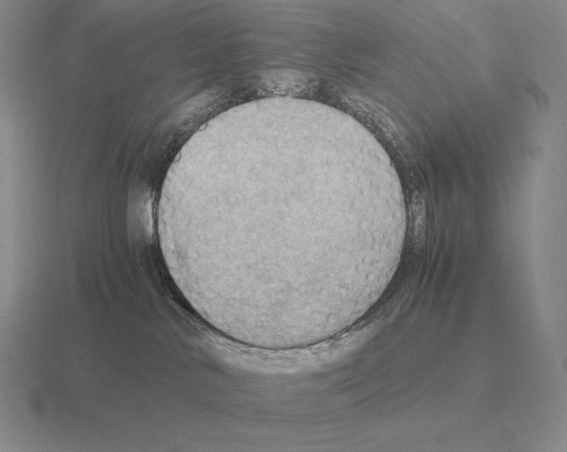 X0000115410042200912151551