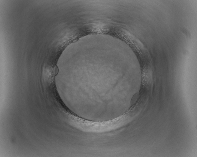 X0000115410043200912151551