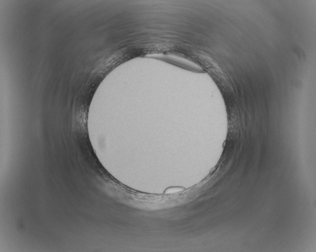 X0000115410045200912151551