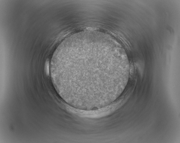 X0000115410046200912151551