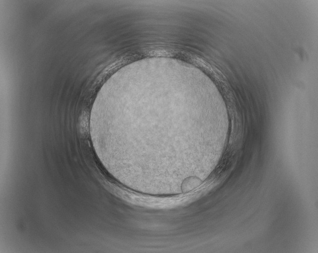 X0000115410048200912151551