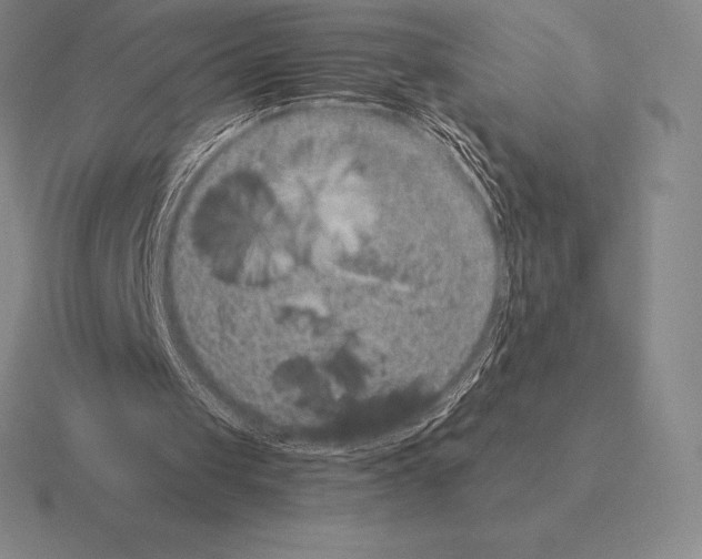 X0000115410049200912151550