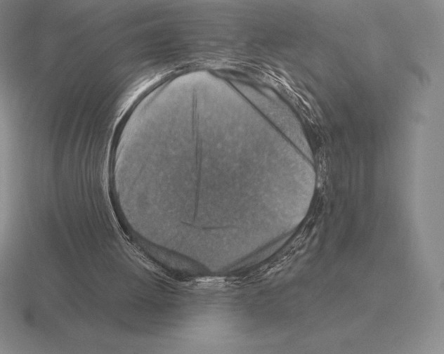 X0000115410052200912151550