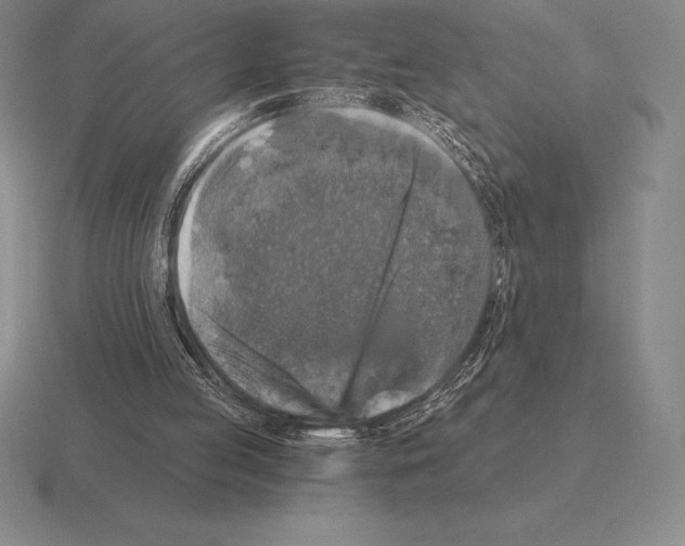 X0000115410053200912151550