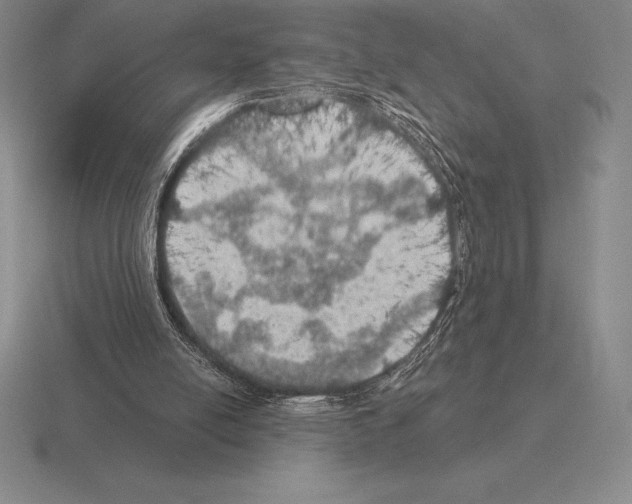 X0000115410054200912151550