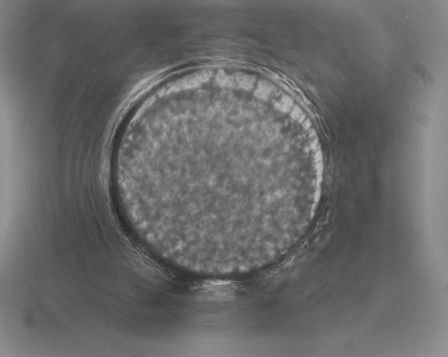 X0000115410055200912151550