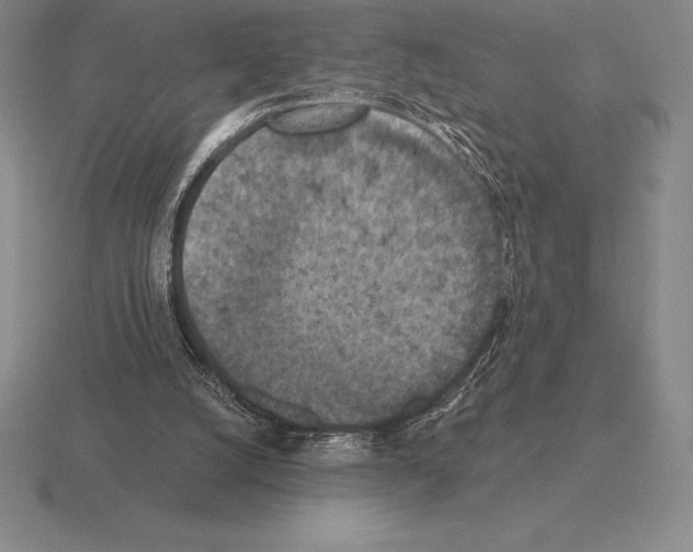 X0000115410056200912151550