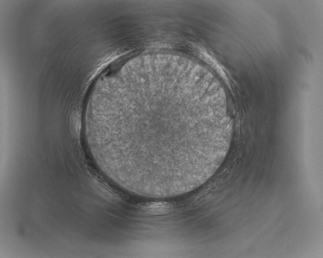 X0000115410059200912151550