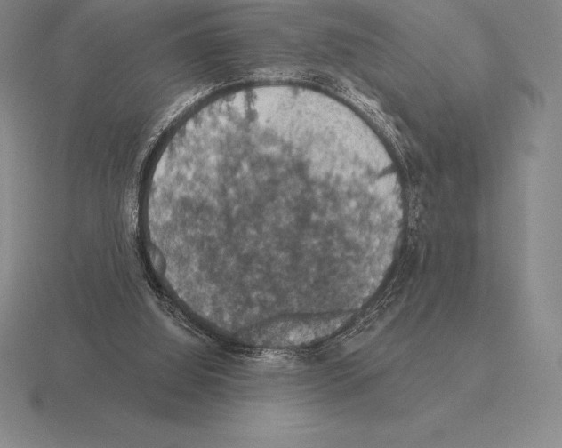 X0000115410060200912151550