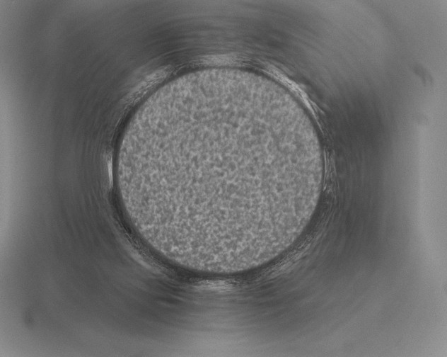 X0000115410061200912151550