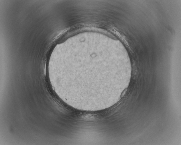 X0000115410062200912151550