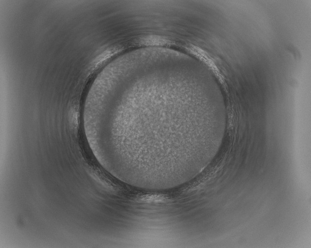 X0000115410063200912151550