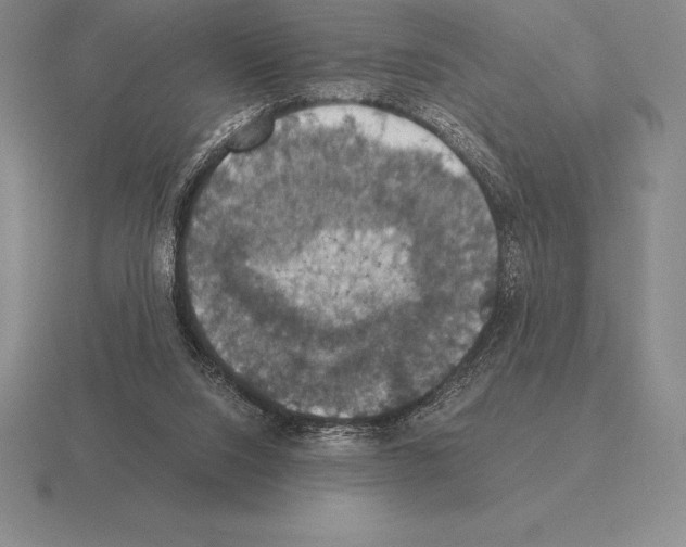 X0000115410064200912151550