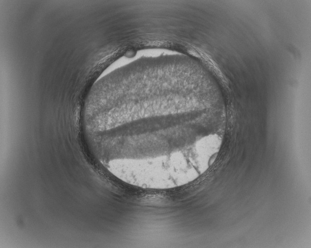 X0000115410066200912151550