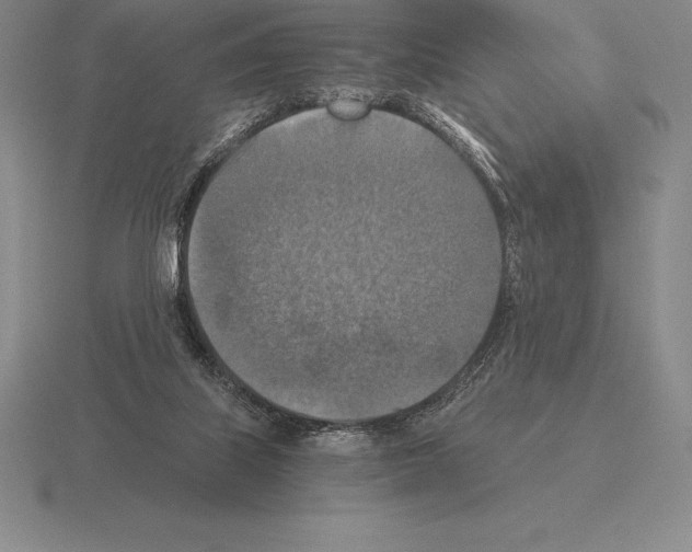 X0000115410067200912151550