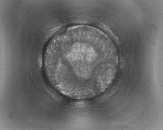 X0000115410068200912151550