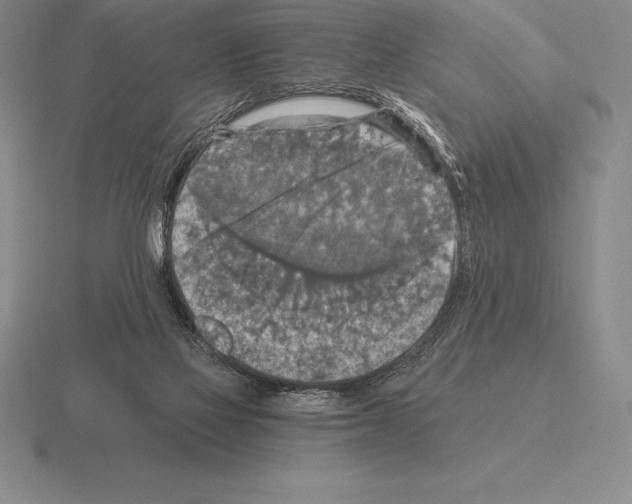 X0000115410069200912151550