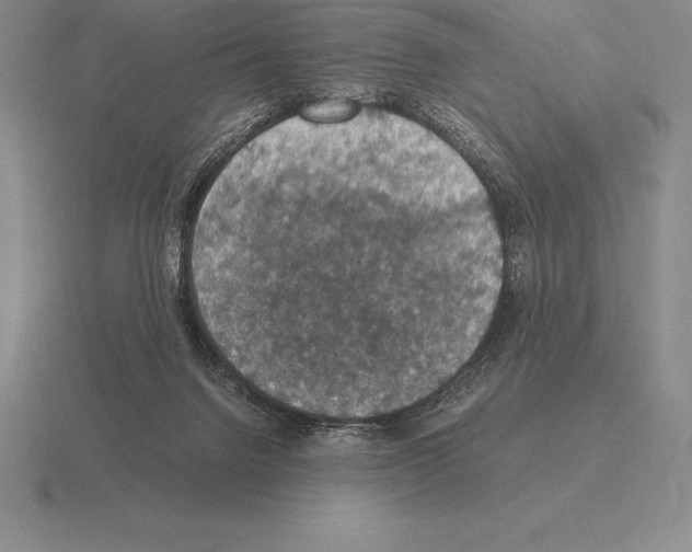 X0000115410072200912151550