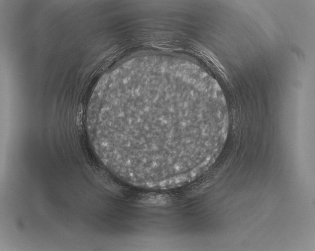 X0000115410073200912151550